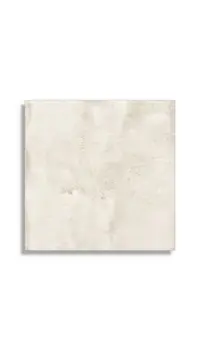 xxl tegel Zilver 120 x 120 | 726-395 | Jan Groen Tegels