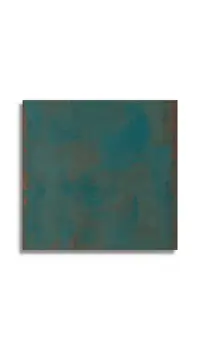 xxl tegel Groen 120 x 120 | 204-596 | Jan Groen Tegels