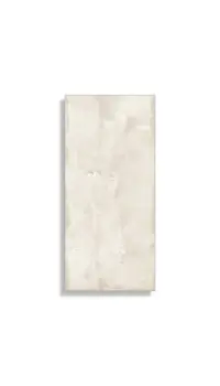 xxl tegel Zilver 120 x 260 | 873-002 | Jan Groen Tegels