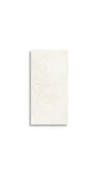 wandtegel Beige 30 x 60 | 185-429 | Jan Groen Tegels