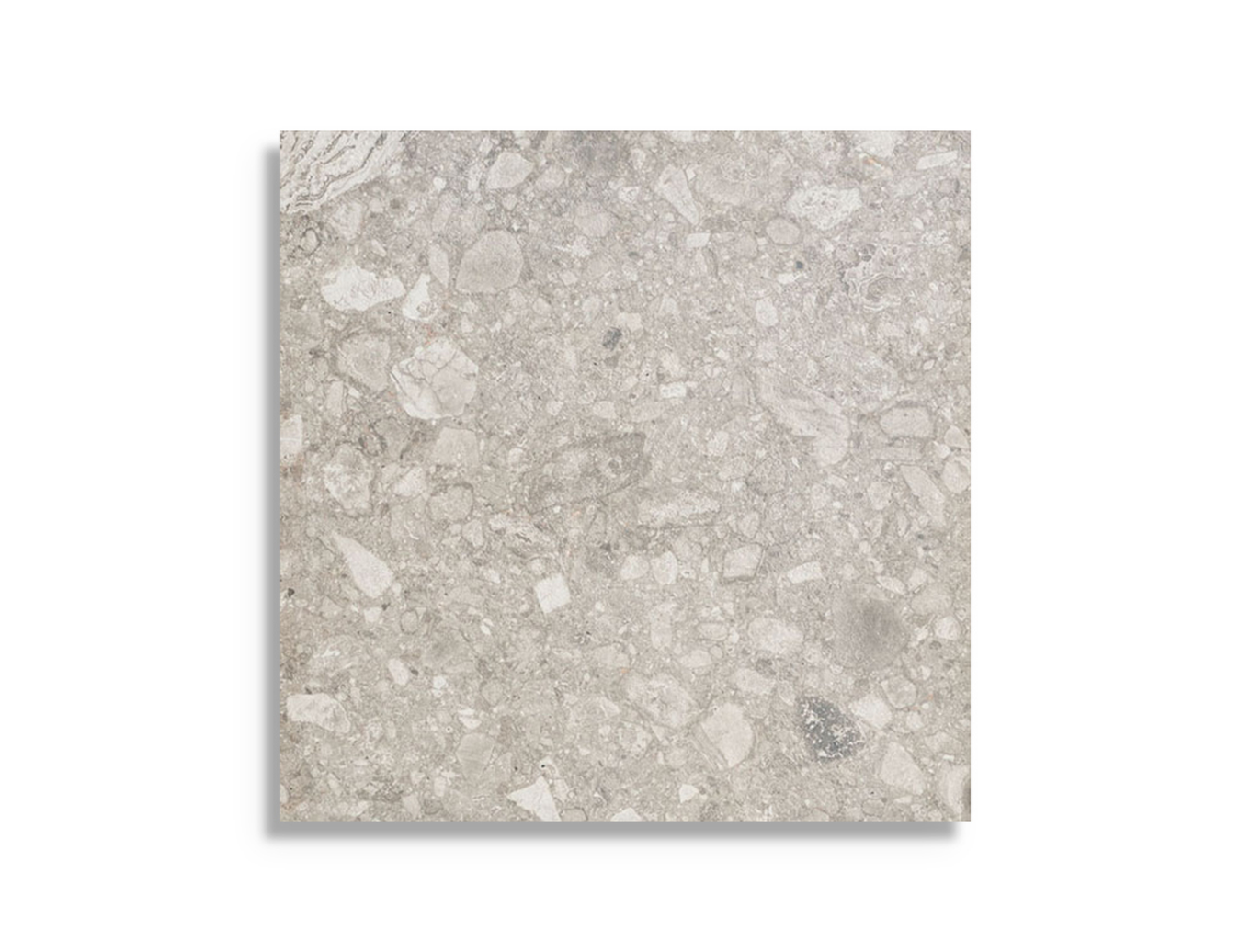 Vloertegel vtwonen Composite Light Grey 60 x 60