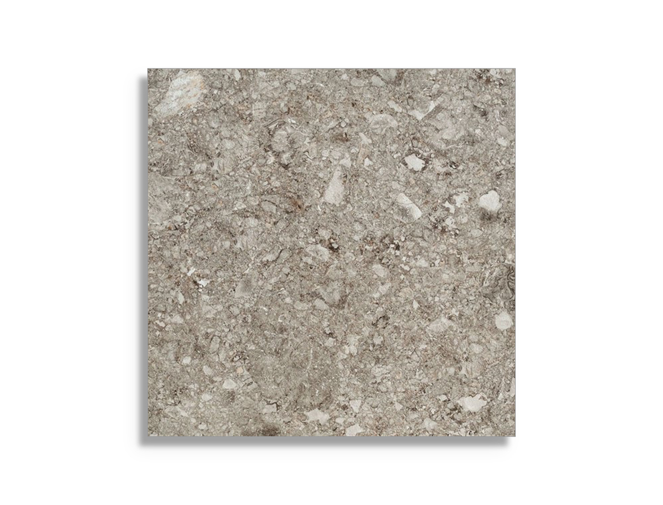 Vloertegel vtwonen Composite Fine Dark Grey 120 x 120