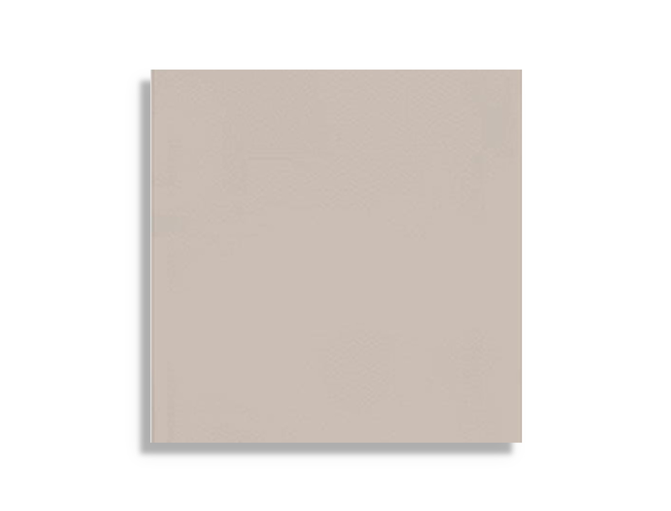 Vloertegel vtwonen Chop Bone 10 x 10