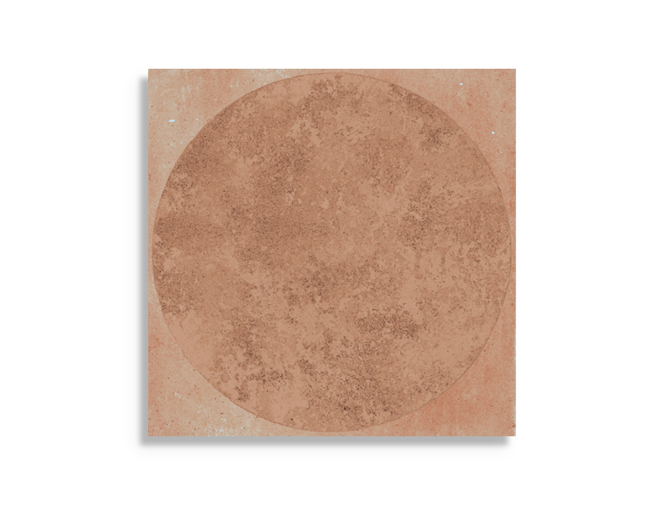 Vloertegel vtwonen Earth Cotto Cirkel 20 x 20