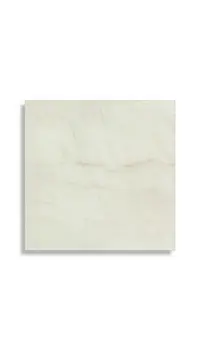 vloertegel Wit 60 x 60 | 363-572 | Jan Groen Tegels