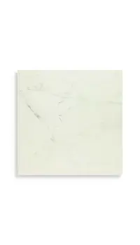 vloertegel Wit 60 x 60 | 270-868 | Jan Groen Tegels