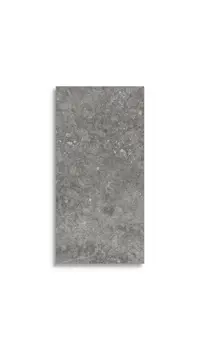 vloertegel Grijs 30 x 60 | 920-193 | Jan Groen Tegels
