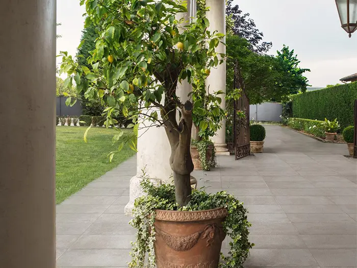 Vloertegel Marazzi Appeal Grey 30x60x0,95 | 520-866 | Jan Groen Tegels  | Dit product is niet meer verkrijgbaar