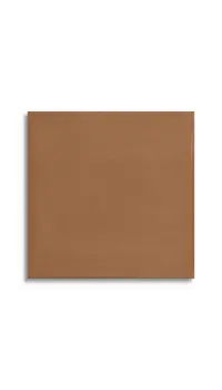 vloertegel Bruin 20 x 20 | 447-642 | Jan Groen Tegels