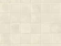 vloertegel Wit 10 x 10 | 110-871 | Jan Groen Tegels