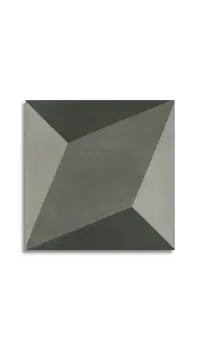 vloertegel Antraciet 20 x 20 | 887-308 | Jan Groen Tegels