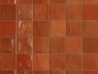 wandtegel Rood 10 x 10 | 217-069 | Jan Groen Tegels