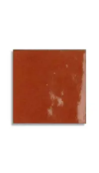 wandtegel Rood 10 x 10 | 217-069 | Jan Groen Tegels