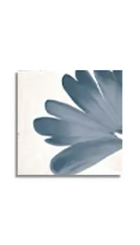 vloertegel Wit 15 x 15 | 720-147 | Jan Groen Tegels