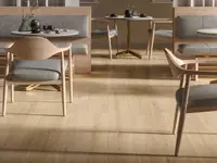 vloertegel Bruin 20 x 120 | 453-493 | Jan Groen Tegels