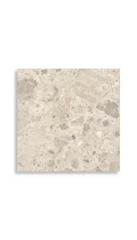 vloertegel Beige 60 x 60 | 854-304 | Jan Groen Tegels