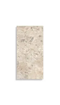 vloertegel Multi 60 x 120 | 891-747 | Jan Groen Tegels