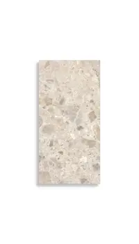 vloertegel Multi 30 x 60 | 132-792 | Jan Groen Tegels