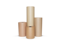 Technotape Kraft 30,0 Cm x 50 Mtr | 149-243 | Jan Groen Tegels