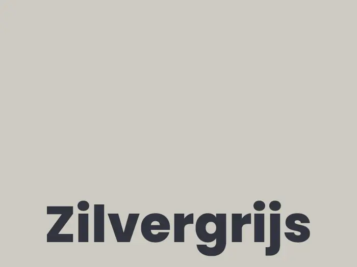 Voegmiddel Schonox SF Design zilvergrijs zak 5 kg | 329-871 | Jan Groen Tegels