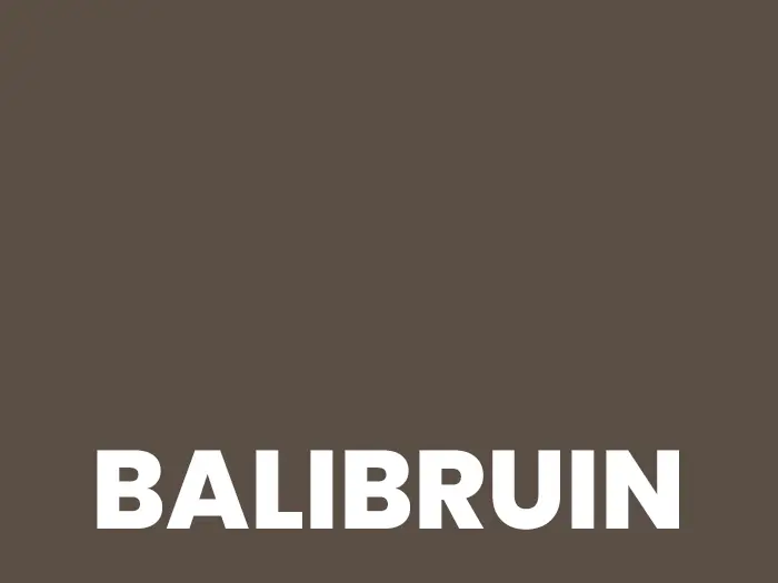 Voegmiddel Schonox SF Design balibruin zak 5 kg | 145-076 | Jan Groen Tegels