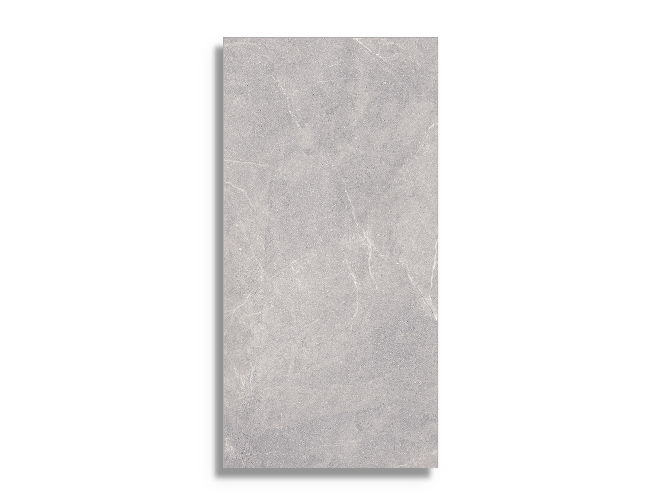 Vloertegel Logiker Walk Silver 60 x 120