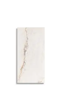 Vloertegel Pamesa Cr Pisa Gold Pulido 30 x 60 | 943-500 | Jan Groen Tegels