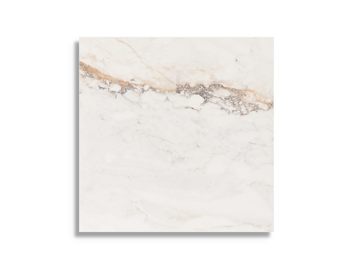 Vloertegel Pamesa Cr Pisa Gold Pulido 60 x 60