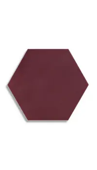 vloertegel Rood 19.8 x 22.8 | 509-603 | Jan Groen Tegels