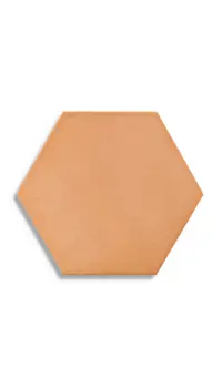 vloertegel Oranje 19.8 x 22.8 | 135-264 | Jan Groen Tegels