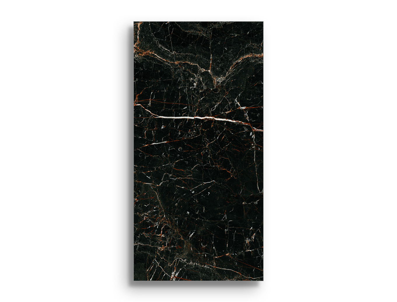 Vloertegel Pamesa Lu x Laurants Brown 60 x 120