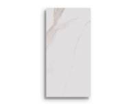 Vloertegels Pamesa Apulia Gold Pulido 30x60 | 834-300 | Jan Groen Tegels