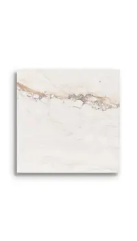 vloertegel Wit 120 x 120 | 910-098 | Jan Groen Tegels