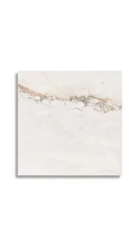 Vloertegel Pamesa Pisa Gold Mat 90 x 90 | 324-975 | Jan Groen Tegels