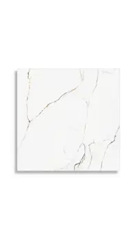 Vloertegel Pamesa Torano Dorado Brillo 60 x 60 | 739-149 | Jan Groen Tegels