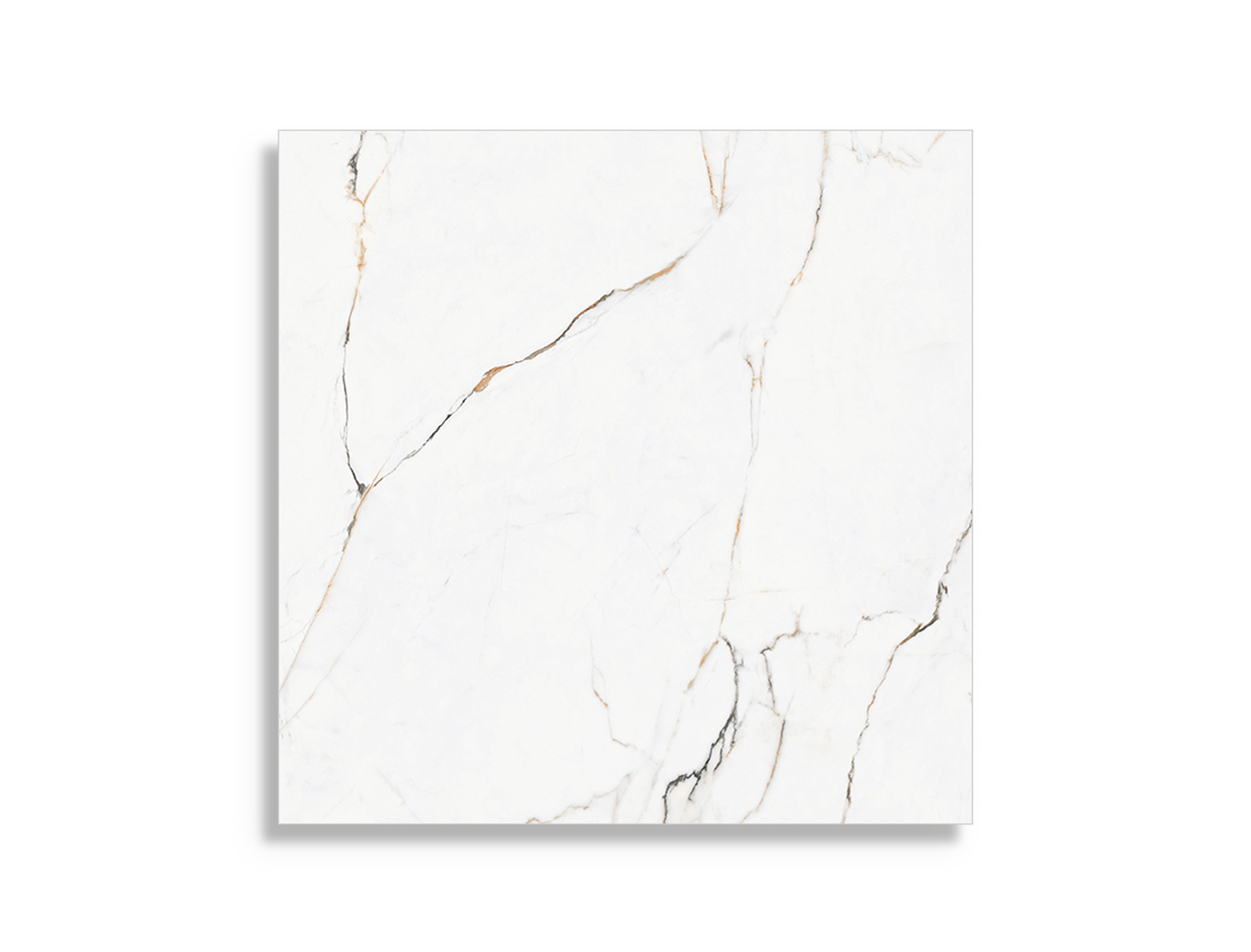 Vloertegel Pamesa Torano Dorado Brillo 60 x 60