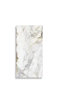 vloertegel Multi 60 x 120 | 791-054 | Jan Groen Tegels