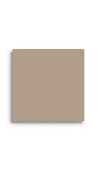 wandtegel Taupe 14.8 x 14.8 | 286-527 | Jan Groen Tegels