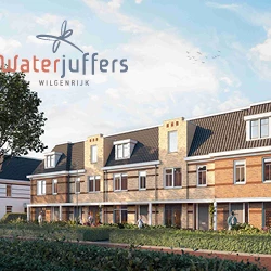 Waterjuffers Sfeer afbeeldingen_250 x 250.jpg
